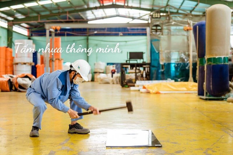 Chính sách và quy định chung