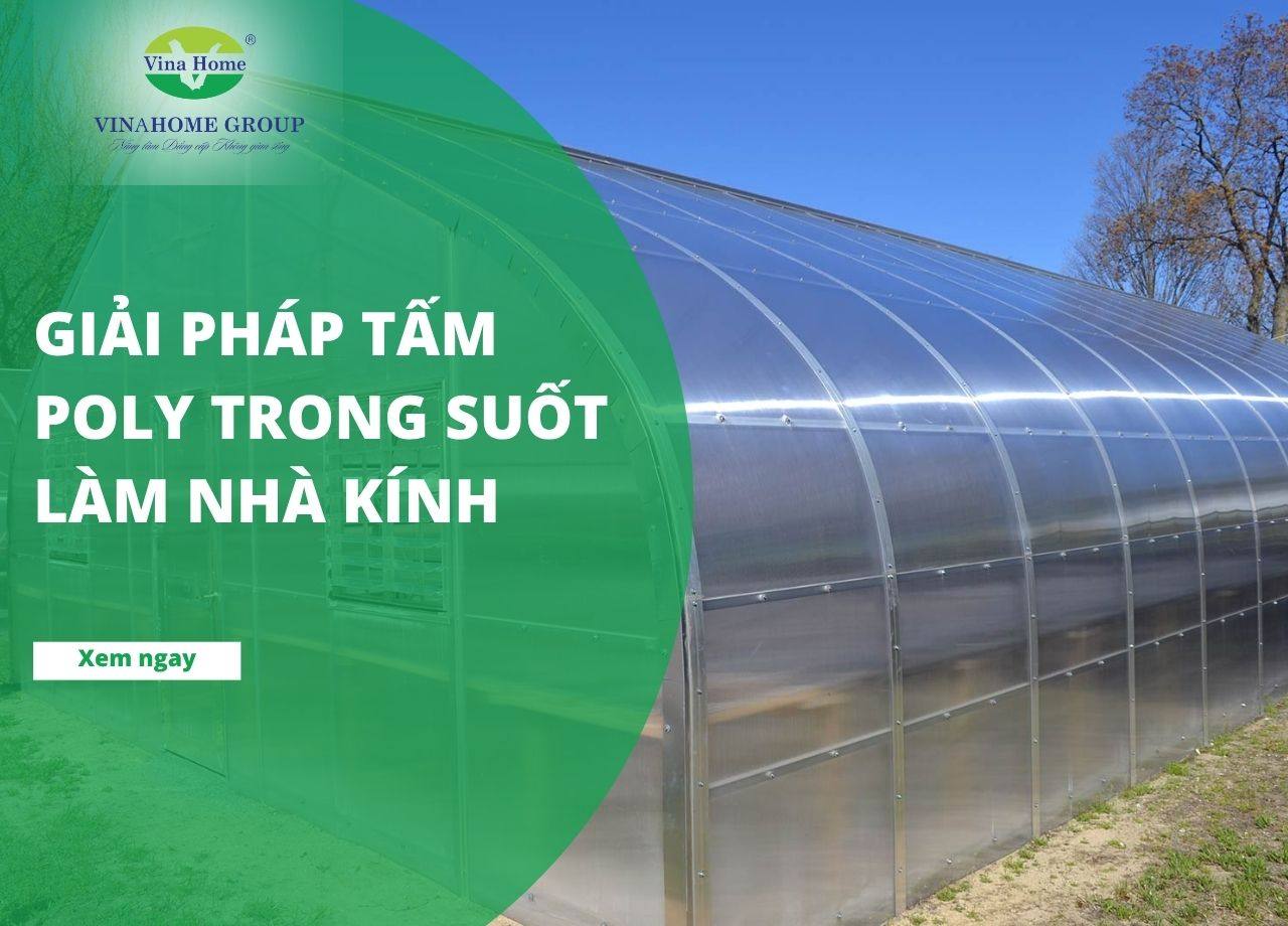 Giải pháp tấm Poly trong suốt làm nhà kính | Bền - Rẻ - Hiệu quả